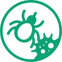 Lyme Disease And Mold